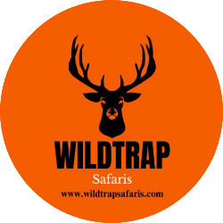 wildtrapsafaris.com